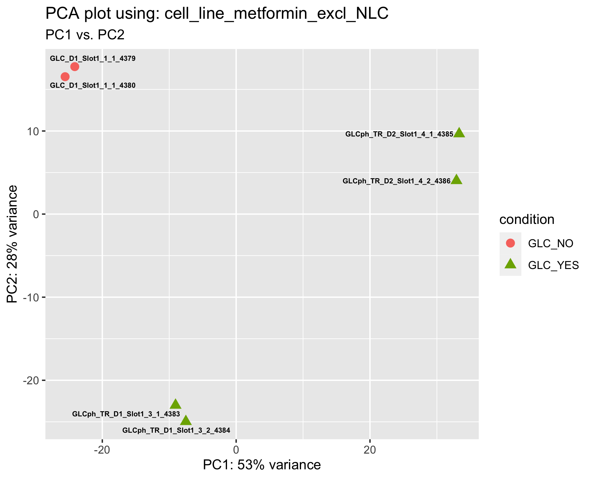 PCA plot PNG not found